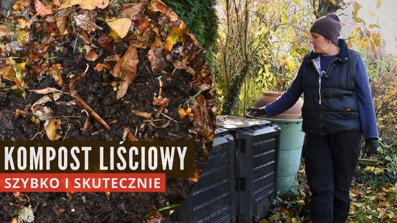 Kompost Liściowy SZYBKO i SKUTECZNIE! 🍂 Kluczowe triki: napowietrzanie, wilgoć, rozdrabnianie