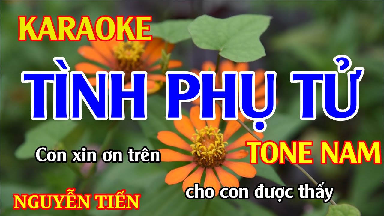 Karaoke Tình Phụ Tử Tone nam Nhạc Sống | Nguyễn Tiến