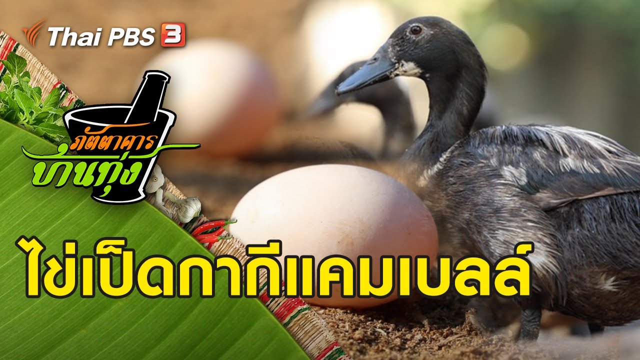 ไข่เป็ดกากีแคมเบลล์ : ภัตตาคารบ้านทุ่ง