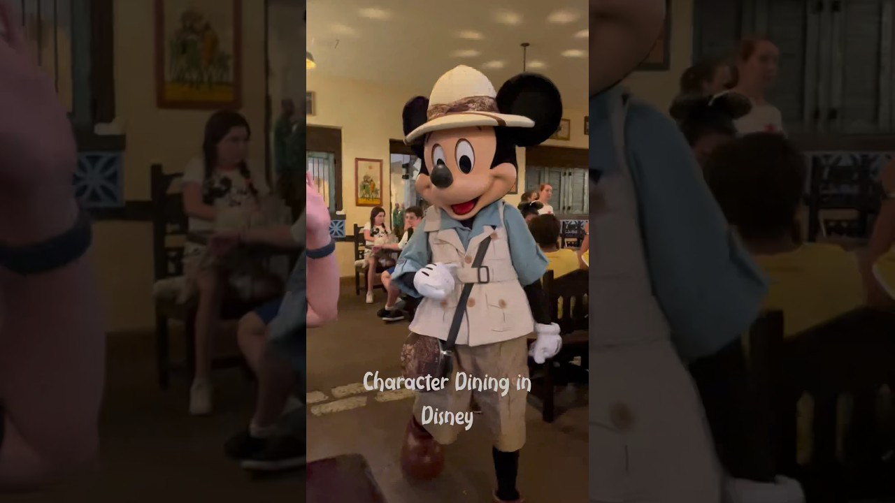 Character dining in Disney World, Tusker House (Animal Kingdom) 😍 #mickeymouse #donaldduck #goofy