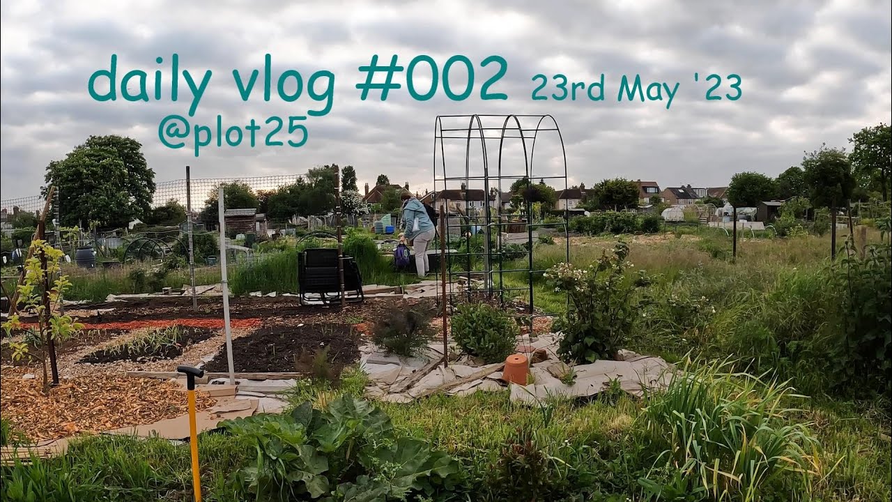 building a Cauliflower Tent: Daily Vlog #002