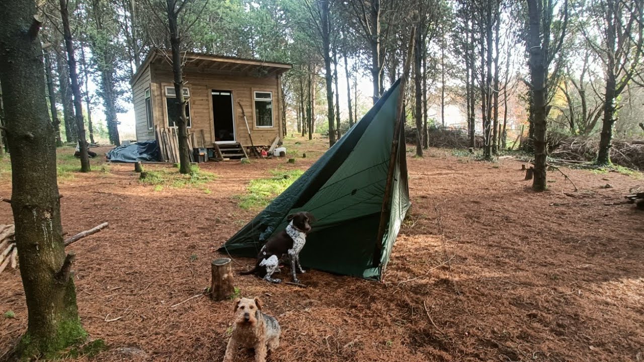 Help I'm A Tarp Addict - Tarpology - My Four Favourite Tarps