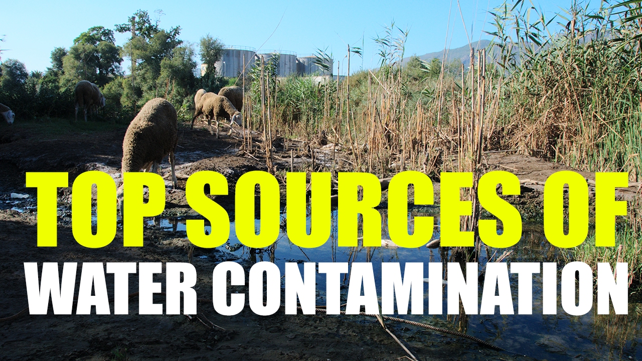 Sources of Water Contamination