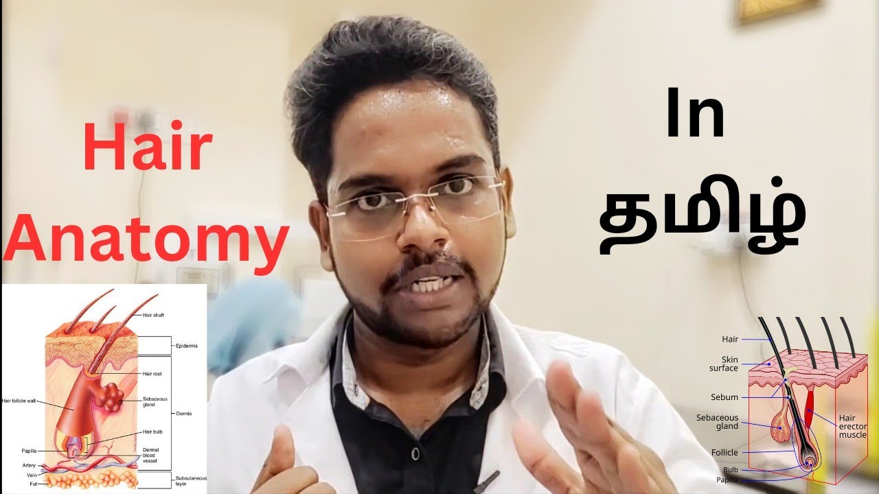 Hair Anatomy in Tamil! 