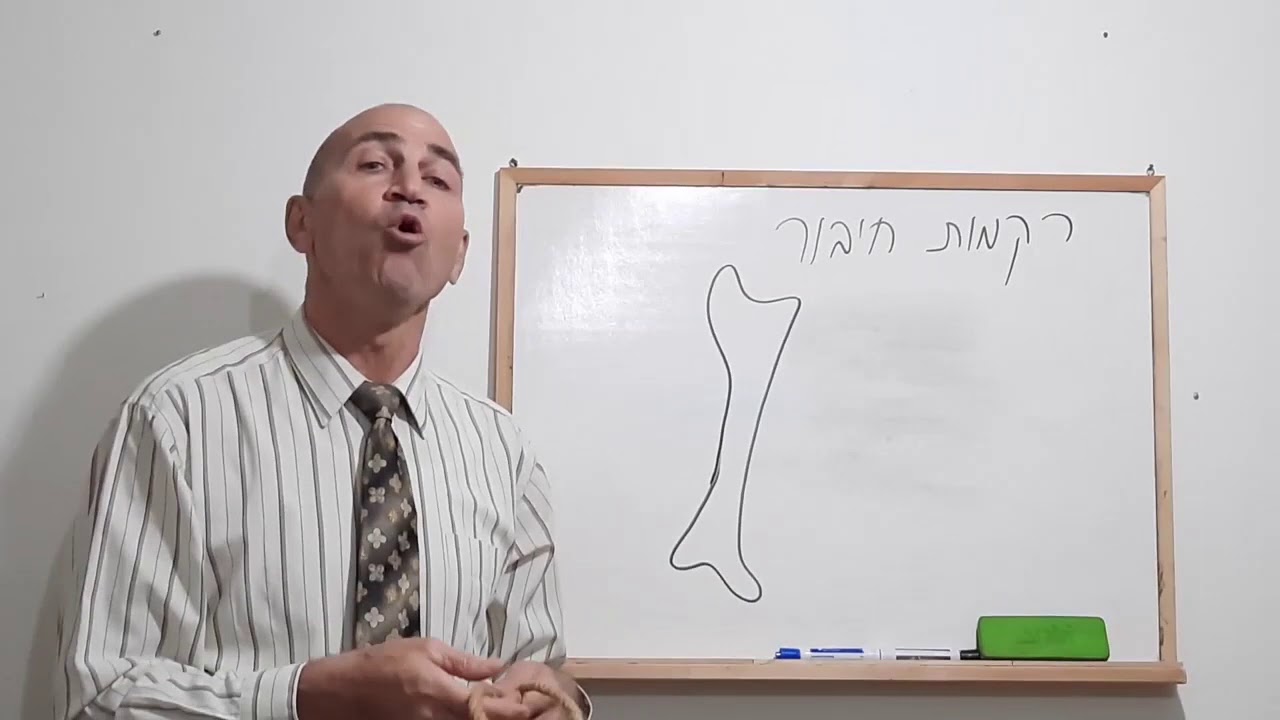 אנטומיה 1 -  חלק א