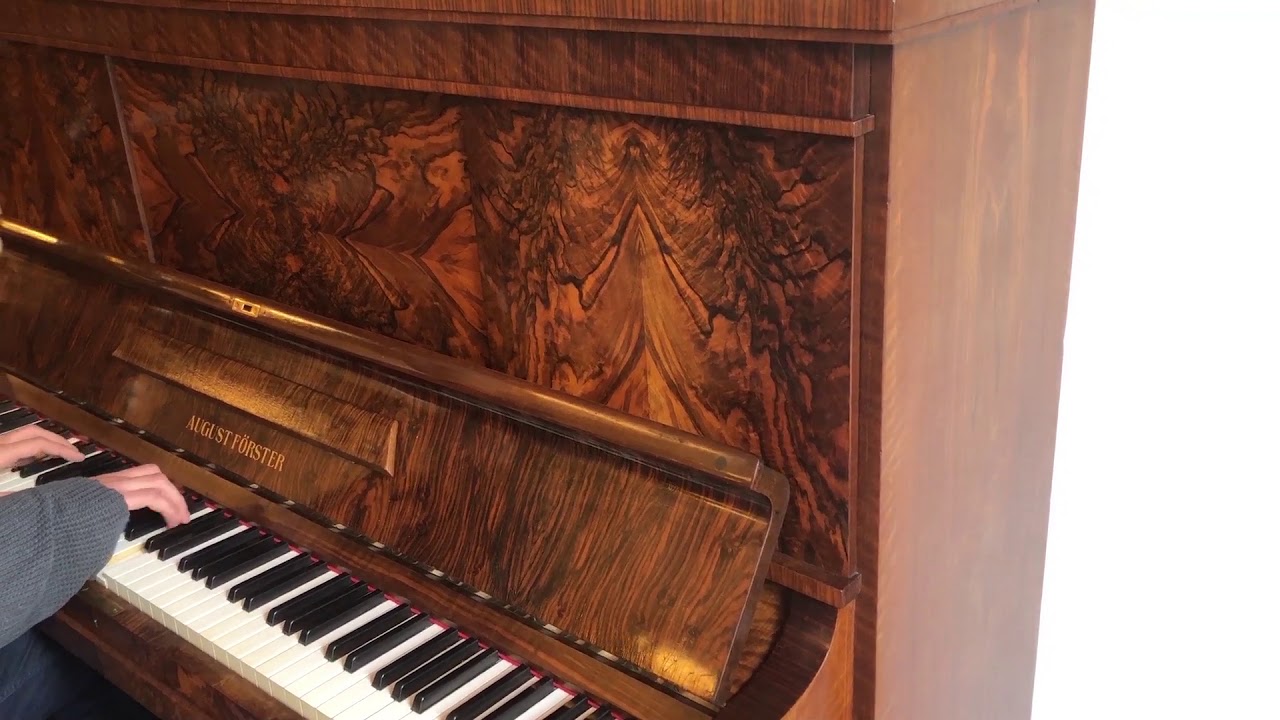 August Förster piano - Emile van Leenen Piano's