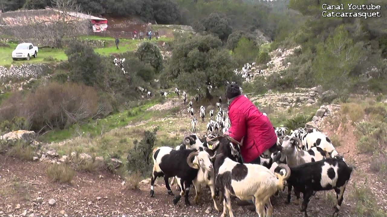 TRANSHUMÀNCIA PRIMERA PART