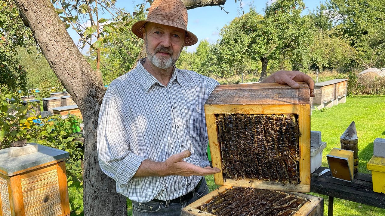 Вулик «Японський». Beekeeping (20.09.2025 р.)