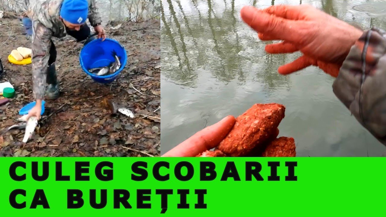 PESCUIT EXTREM la PLUTĂ: ADRENALINĂ la SCOBAR