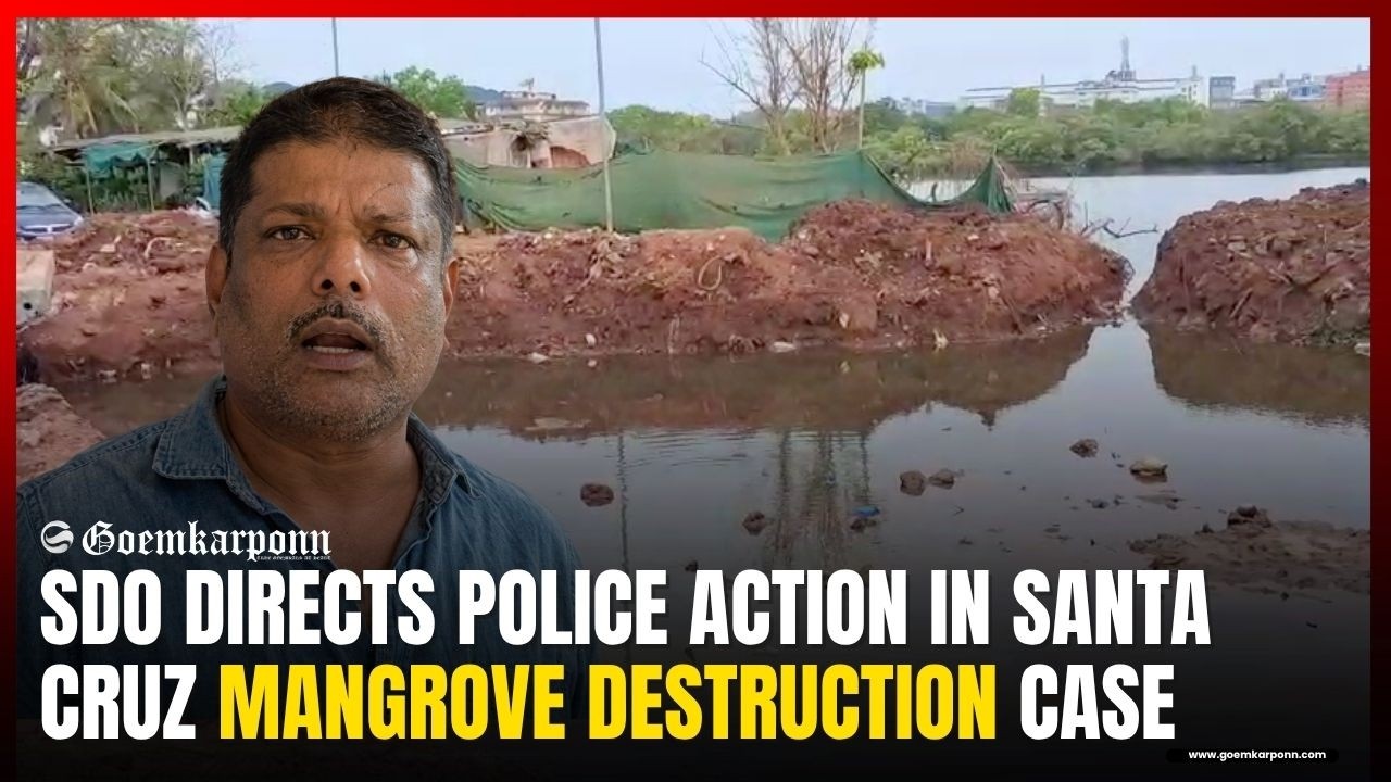 SDO Directs Police Action in Santa Cruz Mangrove Destruction Case