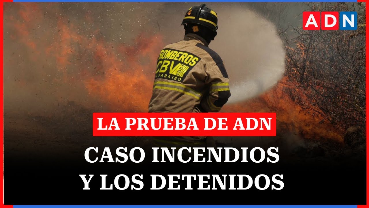 ¿Ha sido tardía la ayuda del gobierno a los sectores afectados en Biobío? |🔴EN VIVO LA PRUEBA DE ADN