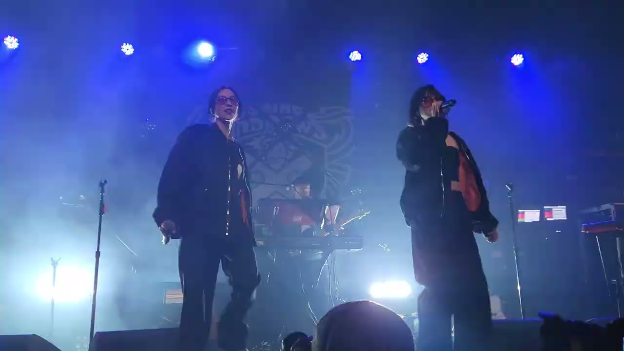 The Veronicas perform 