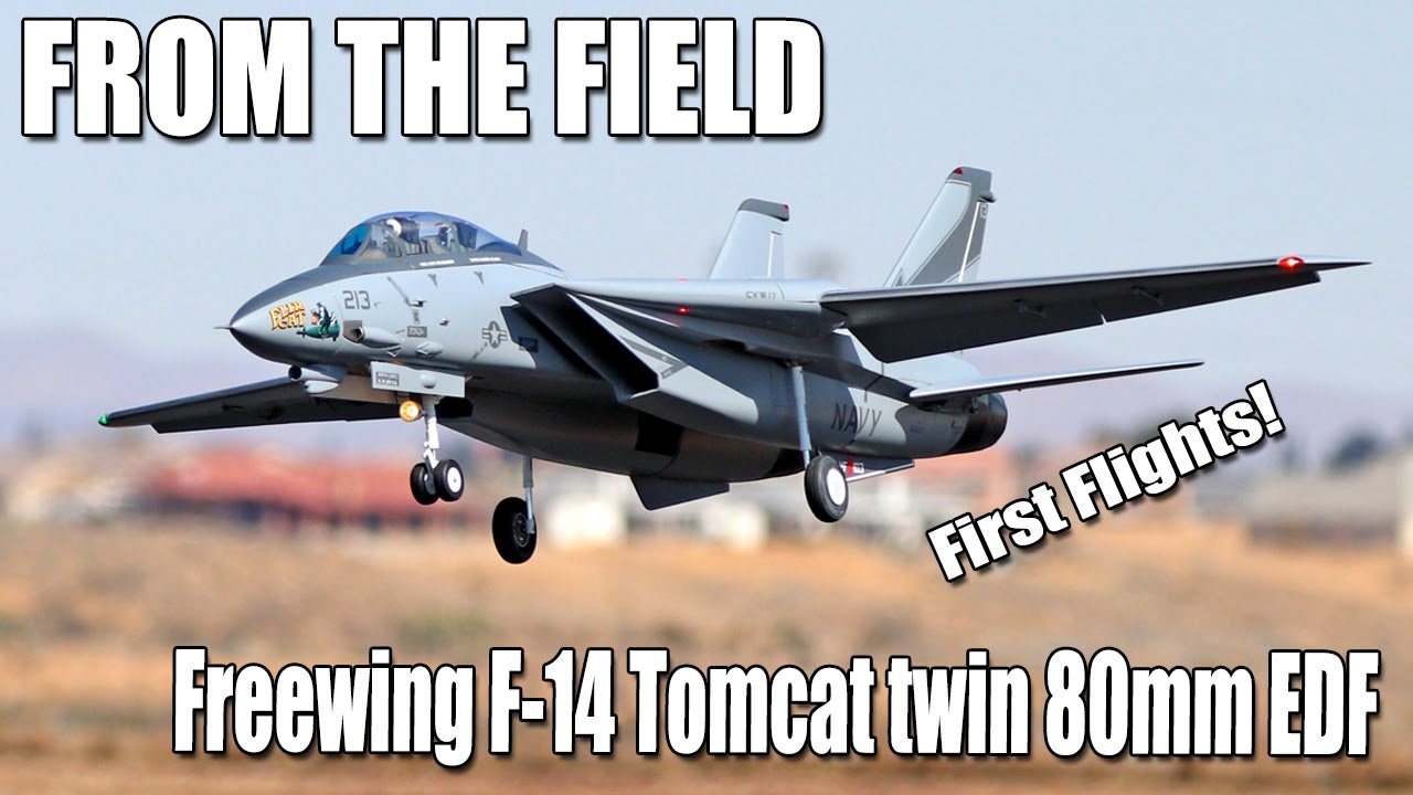Flight of the Flir Cat -- Freewing F-14 Tomcat Twin 80mm EDF First Flights