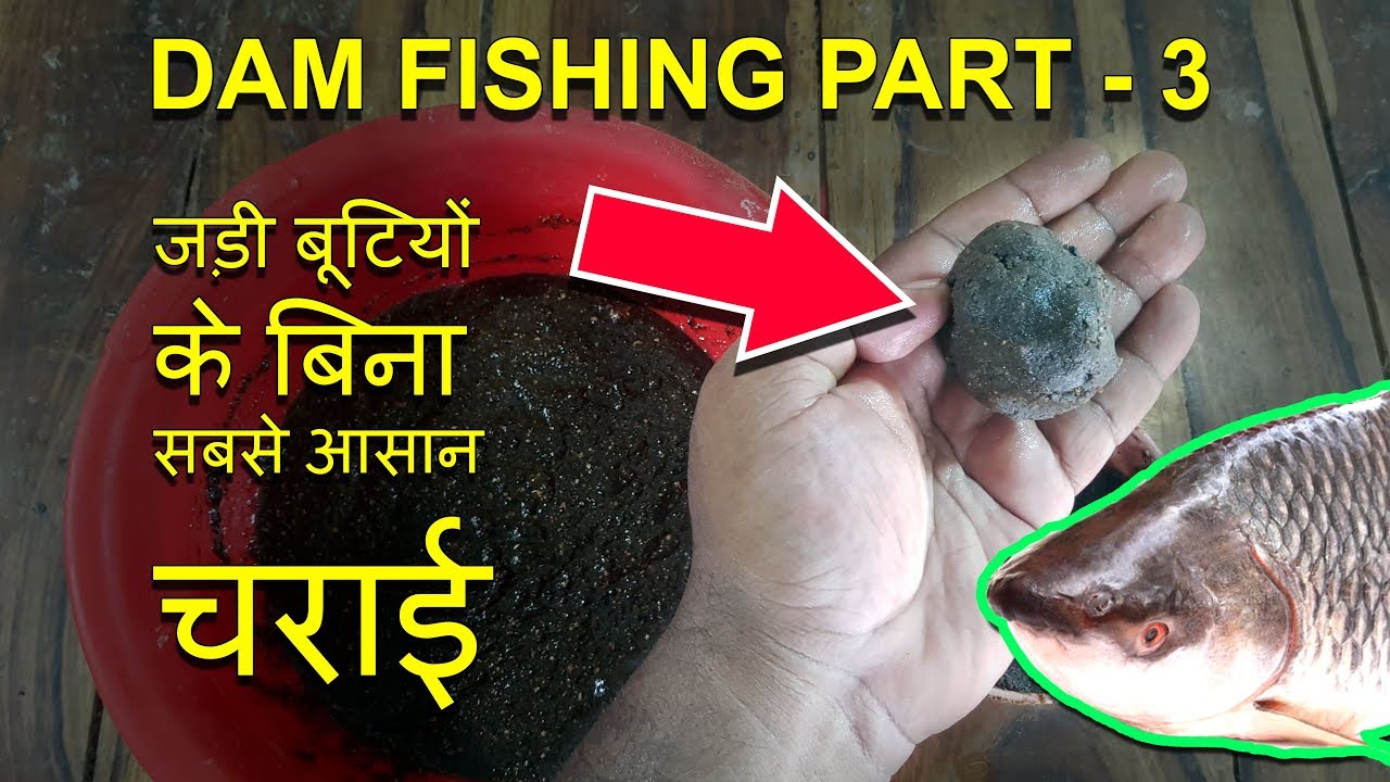 DAM Fishing Technique Part 3 Hindi जड़ी बूटियों के बिना सबसे आसान चराई