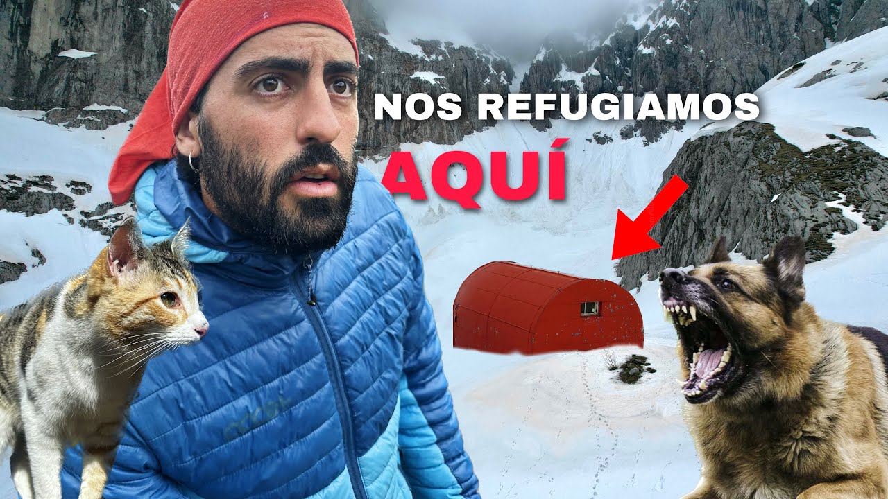 PERRO SALVAJE NOS ATACA: EL RESCATE | #36 VUELTA al MUNDO en AMBULANCIA