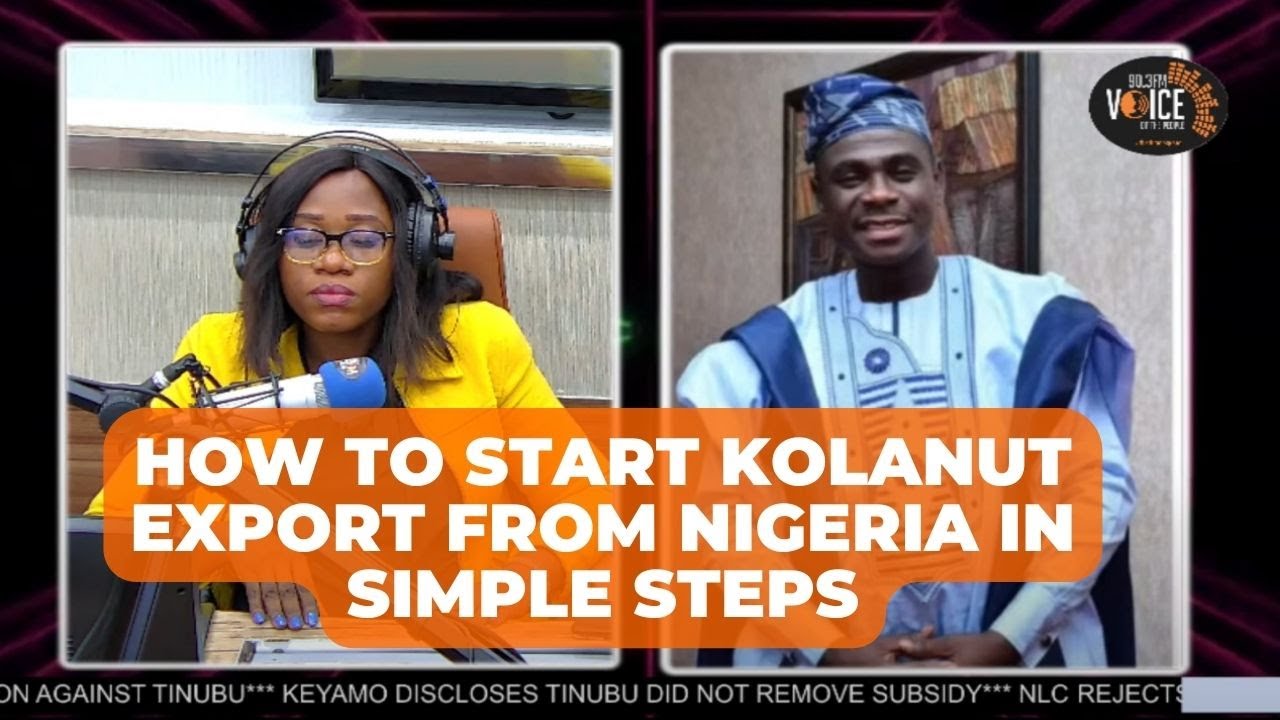 How to Start Kolanut Export From Nigeria in Simple Steps | Busines Round Town
