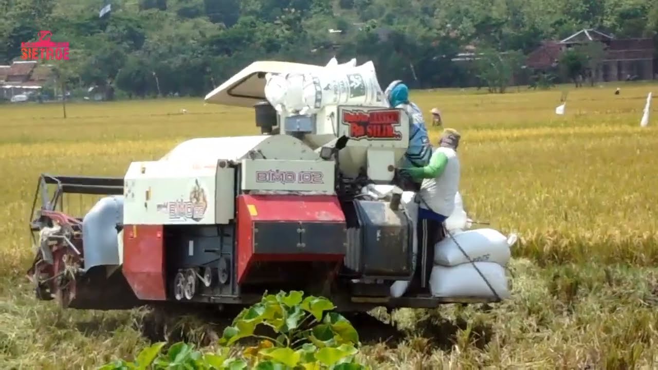 Maxxi bimo,sampai overload‼️#combineharvester #tiktok #viral #maxxibimo