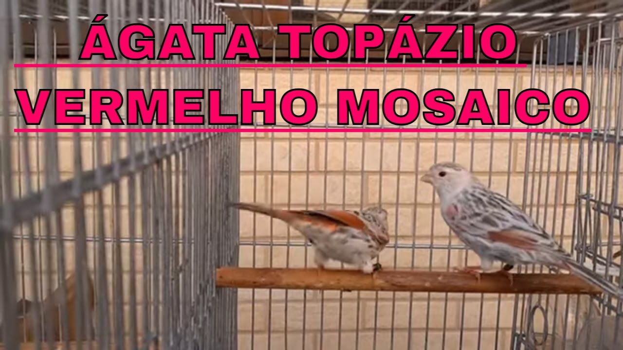 ÁGATA TOPÁZIO VERMELHO MOSAICO