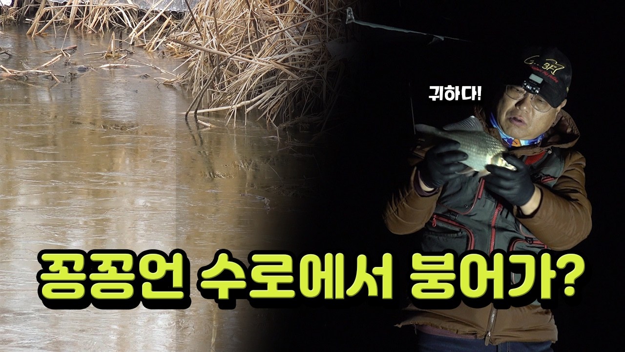 꽁꽁얼어붙은 남도의 수로 - [수초와 수초사이 Ep. 40]