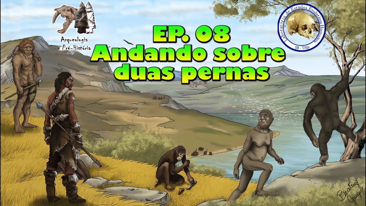 Andando sobre duas pernas | Série Evolução Humana | Ep. 08
