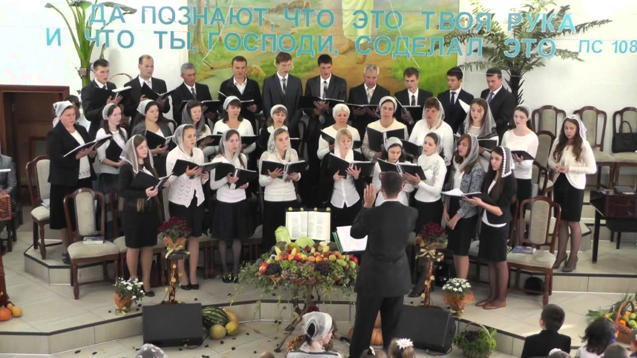 Здесь и там поля белеют