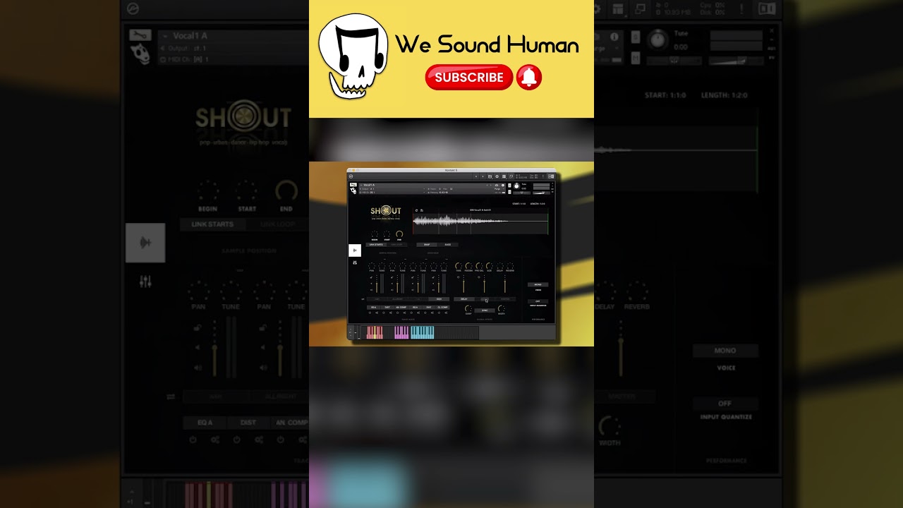 URBAN POP VOCALS KONTAKT | Pop Vocal Samples Library and Urban Vocal Loop Pack