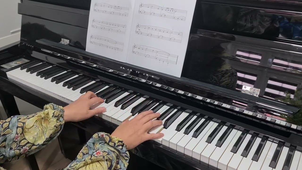 Piano Exam Grade 1 Own Choice Piece / Butterfly Waltz / Sound Painted Book 1