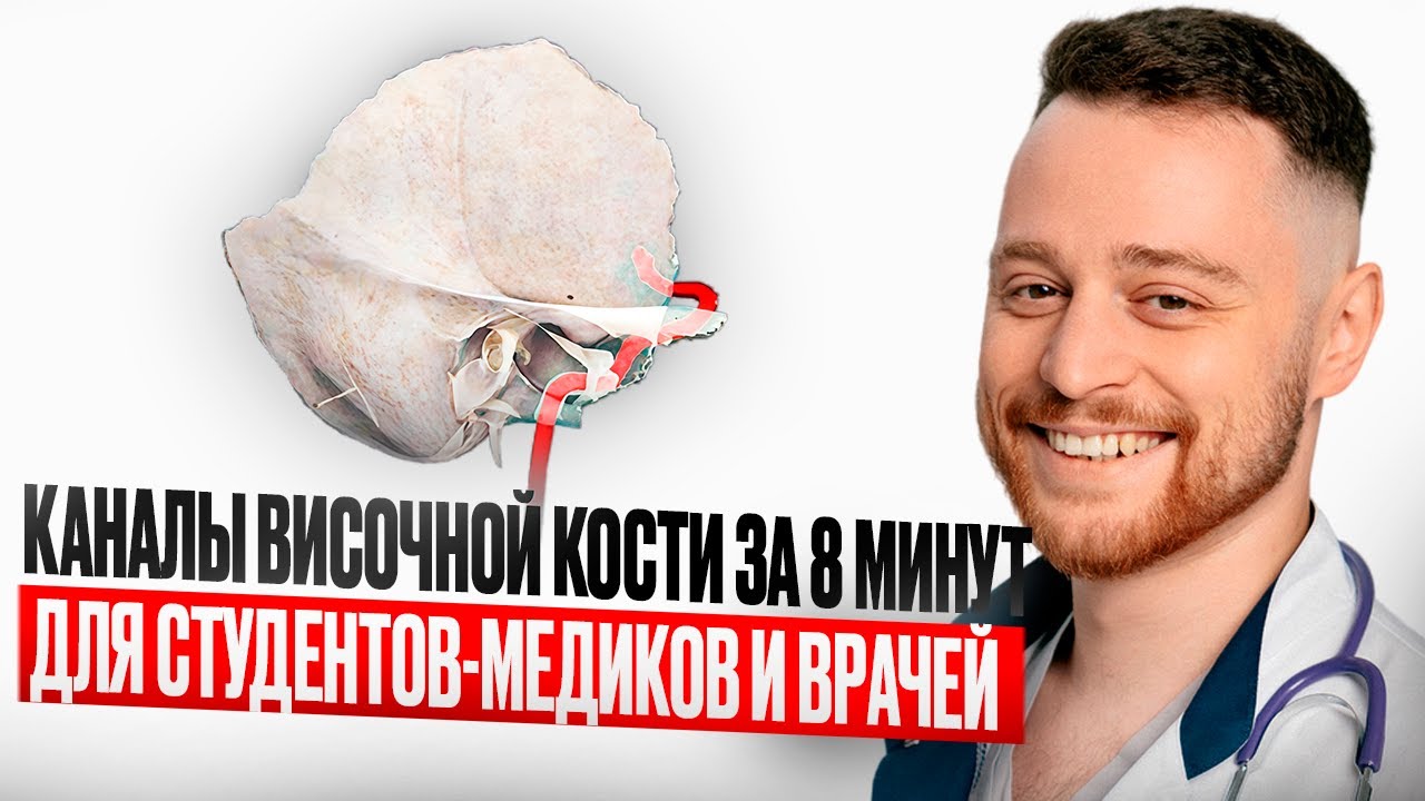 Каналы височной кости за 8 минут | Анатомия человека