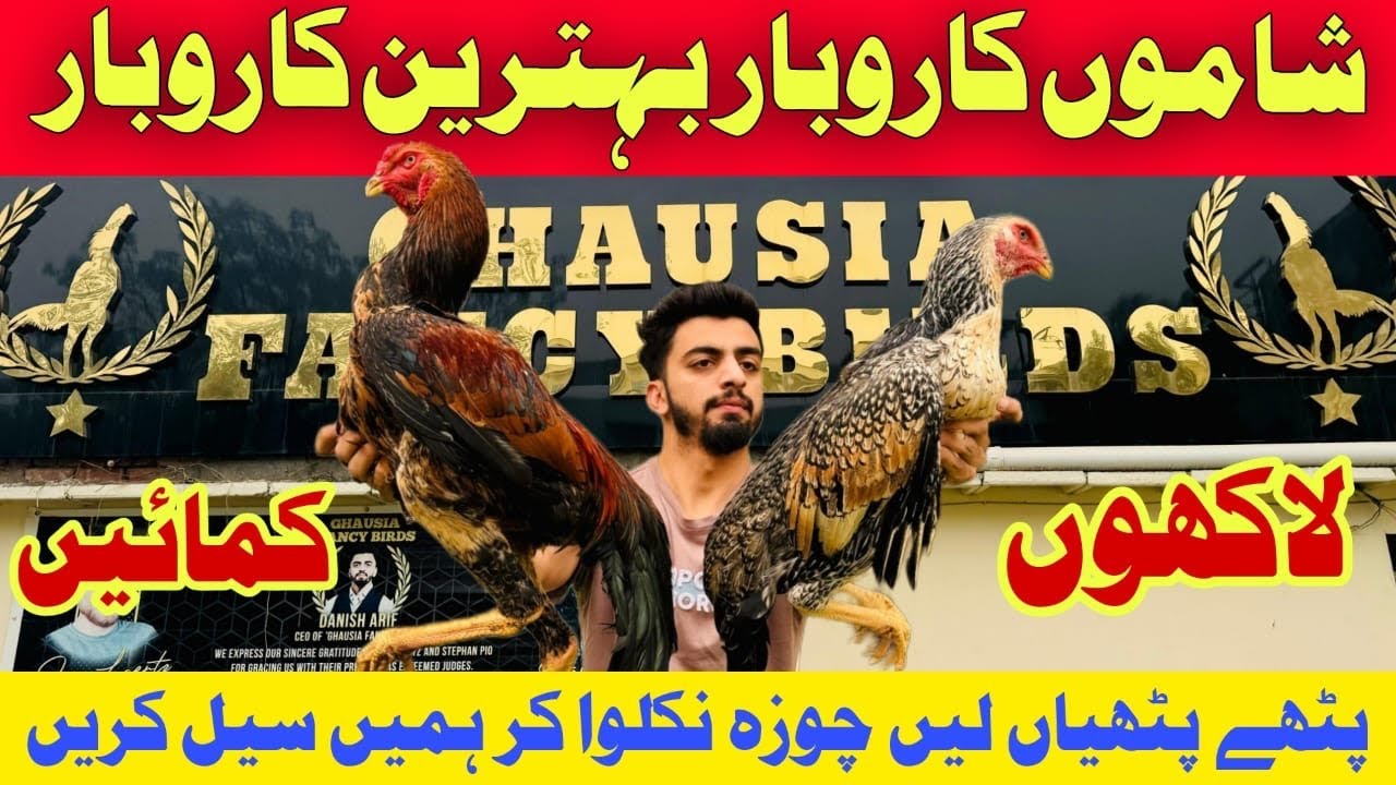 Ajj Phr Beginners ko Shamoo Business Start Krwa Dia || Saare Pakistan 🇵🇰 ka Trust Sirf Danish Arif