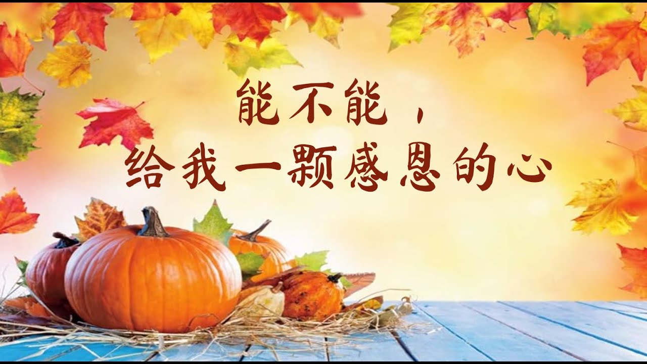能不能，给我一颗感恩的心 Will you please give me a grateful heart | 珍惜生活中的美好. 看到光明、心存感激