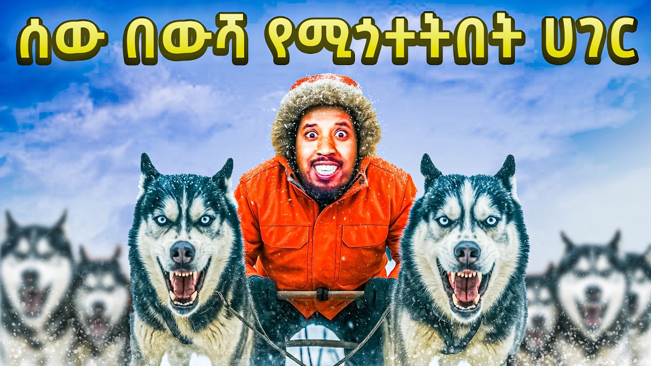 ሰው በውሻ የሚጎተትበት ሀገር ገባሁ Travel with Abel Birhanu 