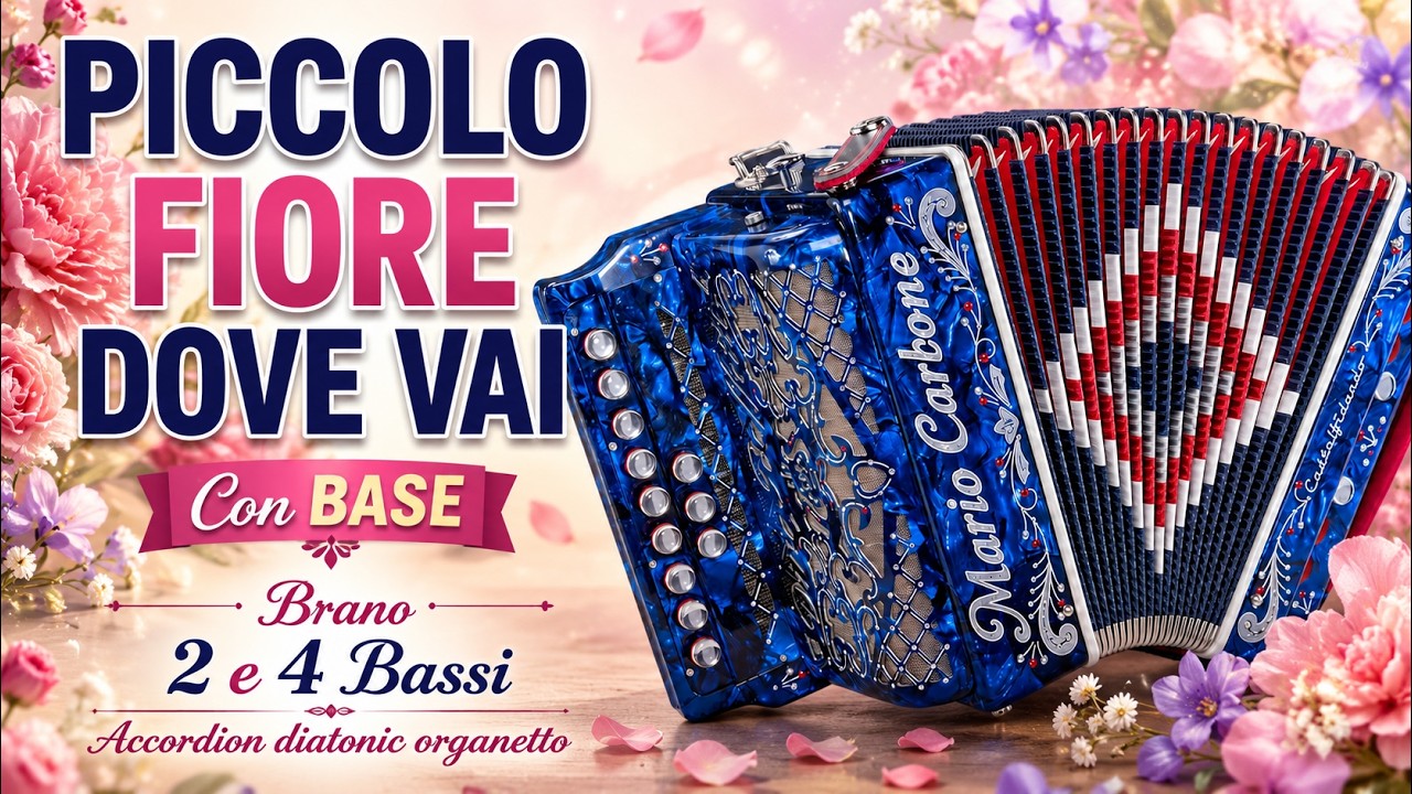 2 e 4 Bassi - PICCOLO FIORE DOVE VAI - Brano - Con BASE - Accordion diatonic Organetto