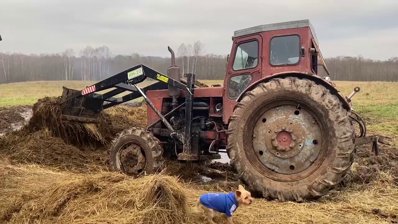 Tрактор Т40ам с  Польским куном  (от Т25 TUR2 650kg)