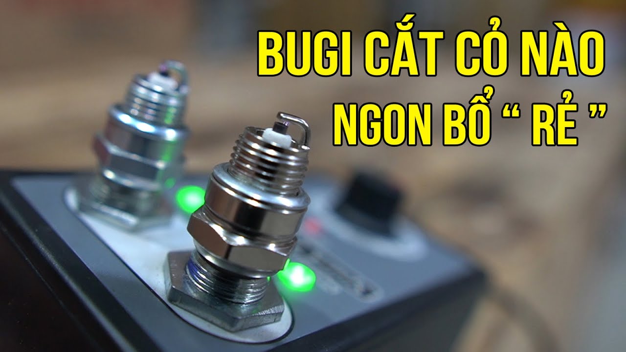 Bugi 2 Thì Nào Dùng Cho Máy Cắt Cỏ Và Cưa Xích 