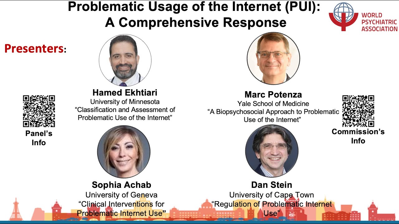 Problematic Usage of the Internet (PUI): Assessment and Treatment