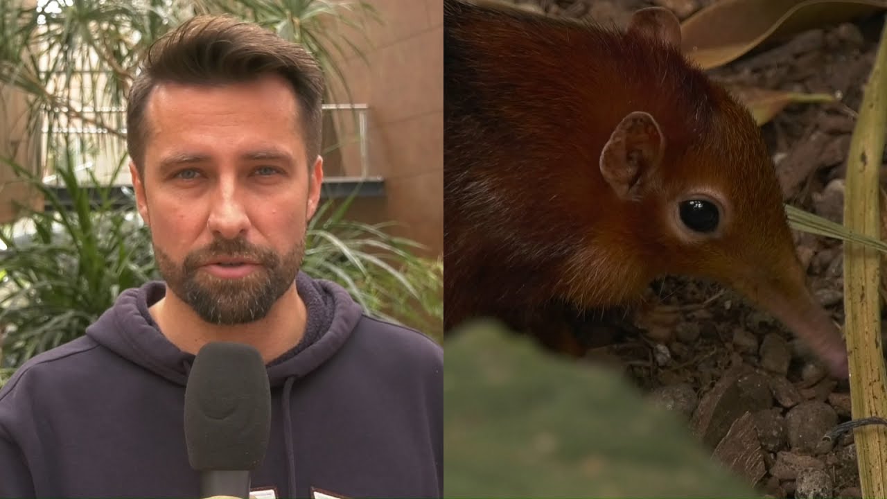 Afrykarium Wrocław - Zobacz co możesz tam spotkać!