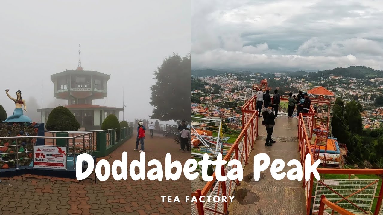 Doddabetta | Highest peak of Nilgiris