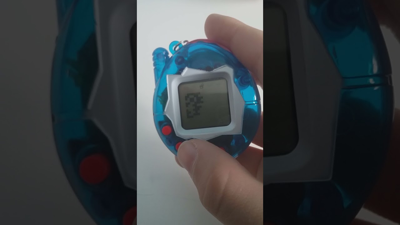 CRESCIAMO UN TAMAGOTCHI INSIEME (come funziona) versione di flying tiger