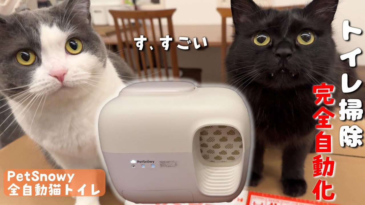 話題の全自動猫トイレが我が家にやって来た【PetSnowy】　