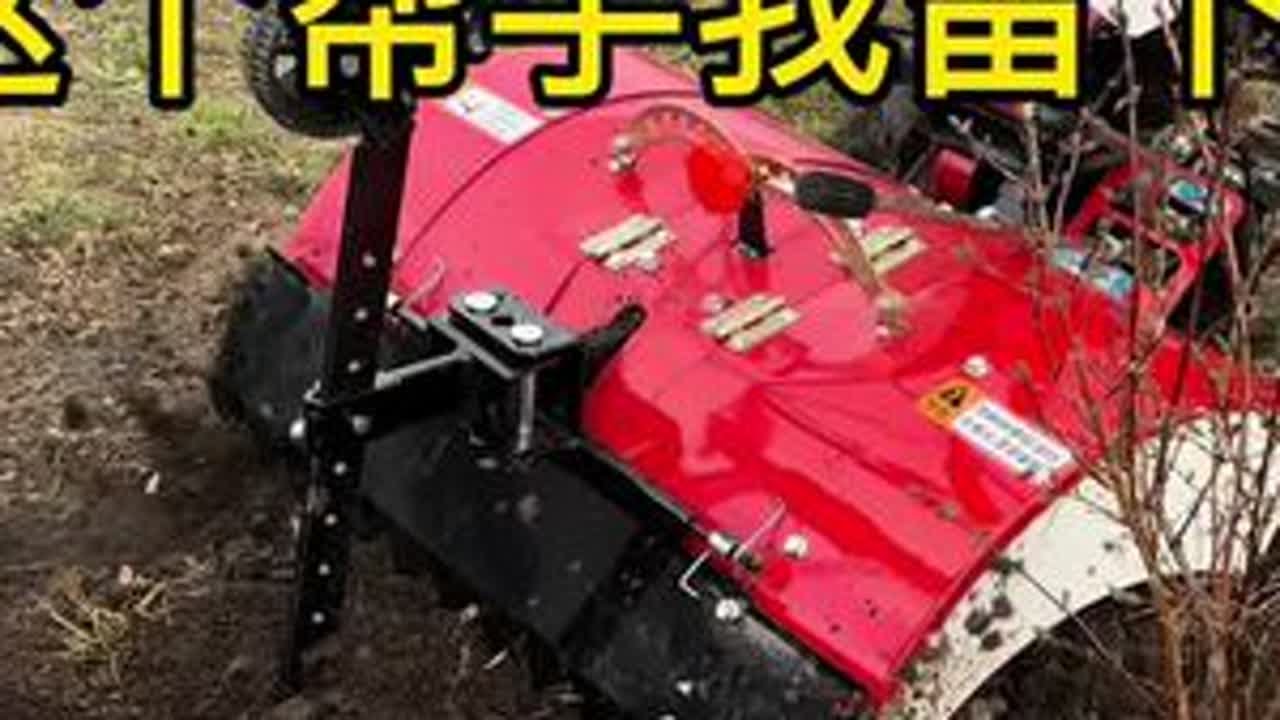 姐你赶紧直播