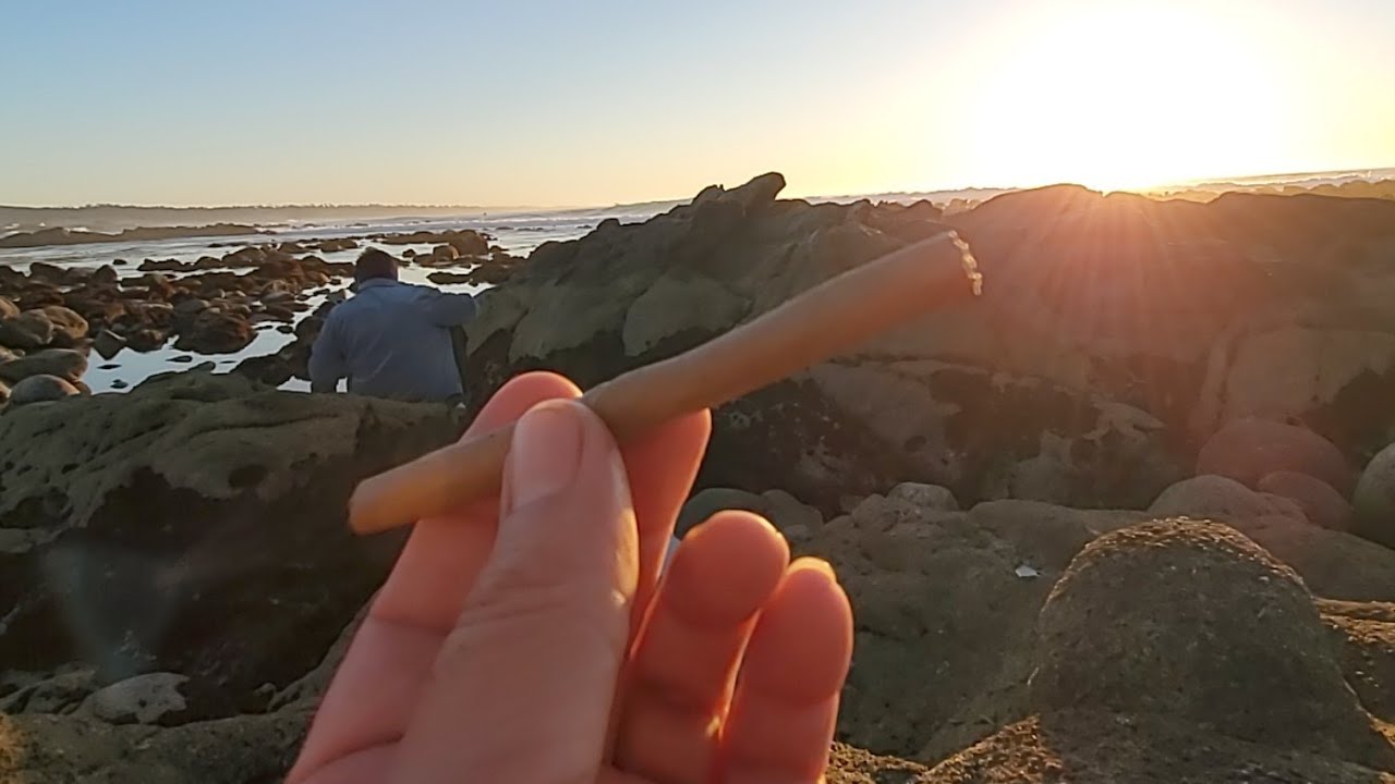 Blunts, Dabs & a Sunset..  Let's Get ☁️  ☁️  ✈️