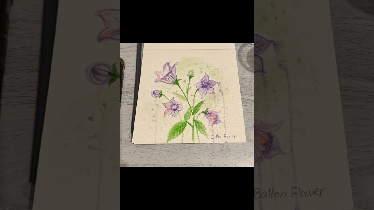 Series 4–Day 29/31— Balloon Flower