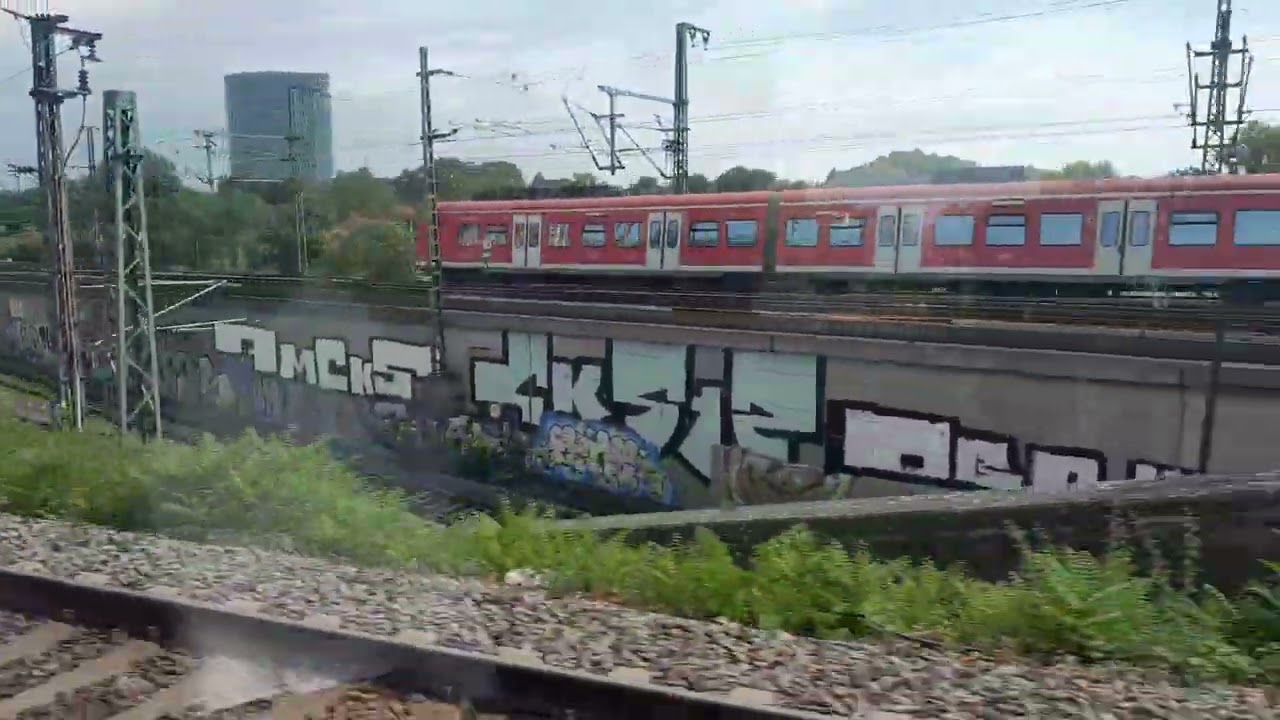 Br 425 und Br 429 Flirt Südwex Von Mannheim Hbf nach Ludwigshafen (Rhein) Mitte und Zurück