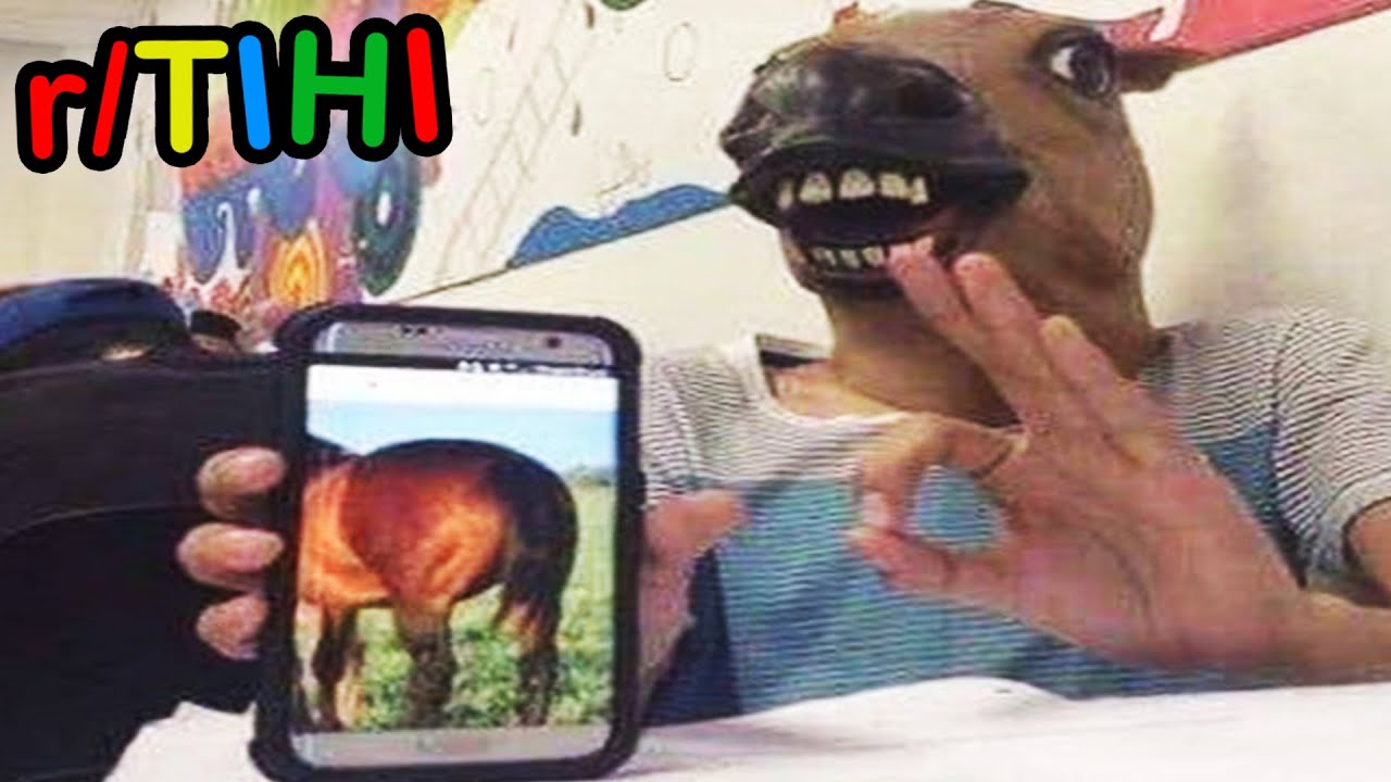 r/TIHI · *happy horse noises*