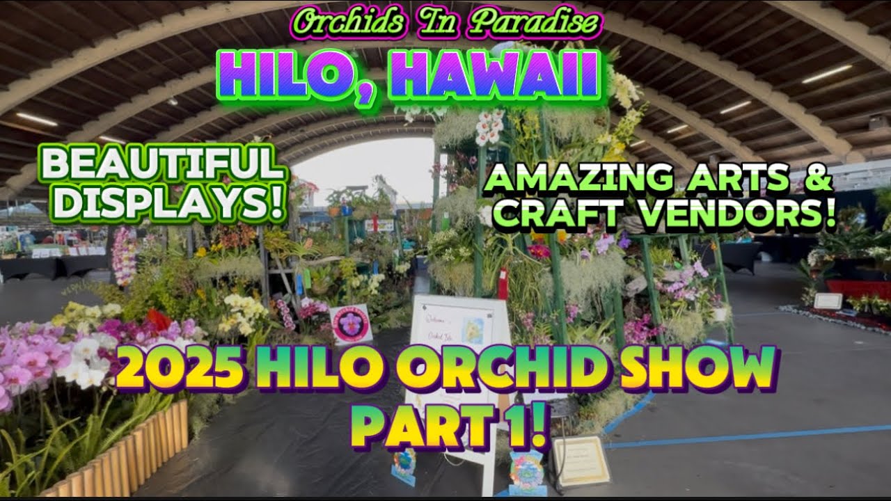 2025 Hilo Orchid Show Part 1!