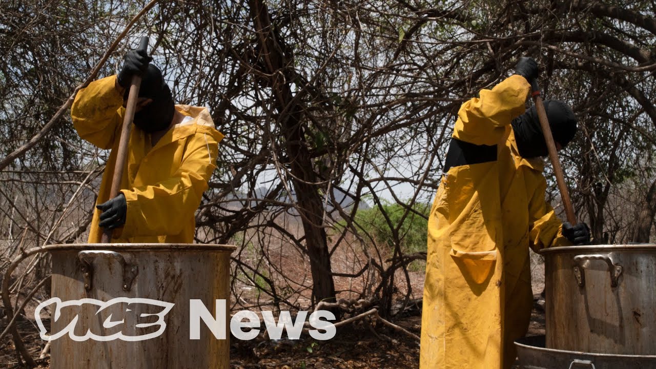 Inside the Sinaloa Cartel&rsquo;s Fentanyl Smuggling Operations