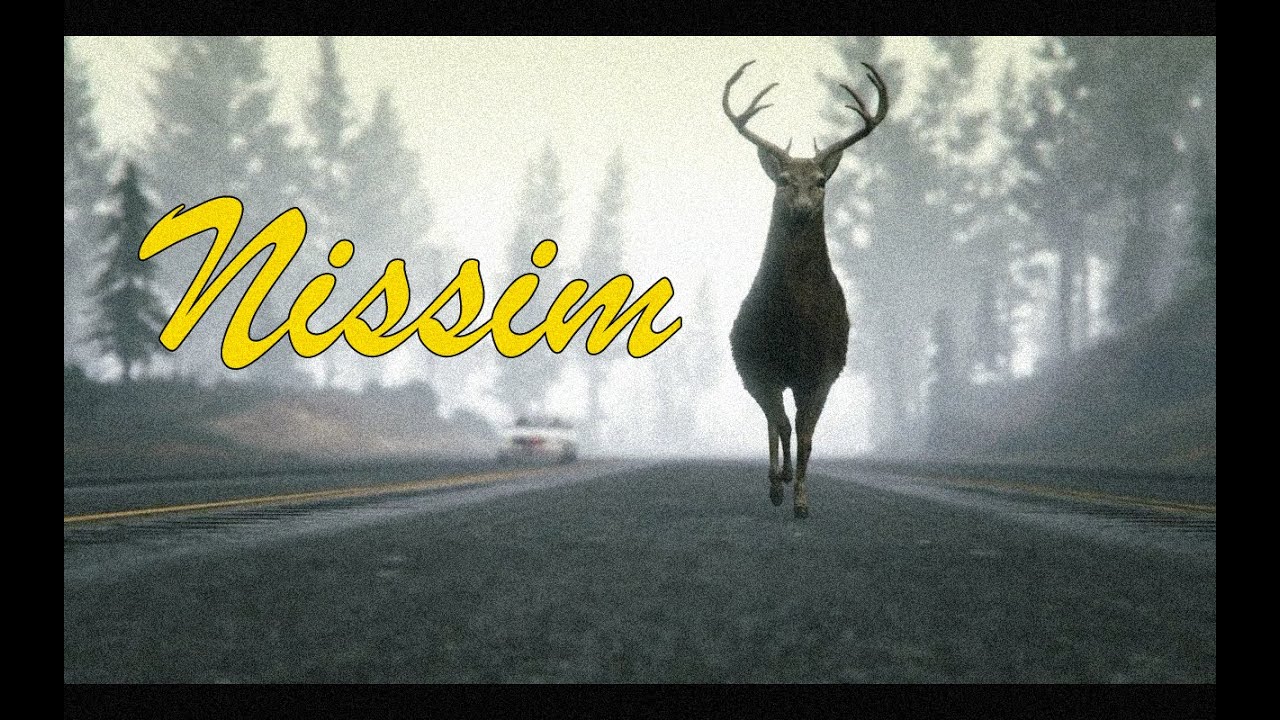 Gaslamp Killer- Nissim (GTA V)