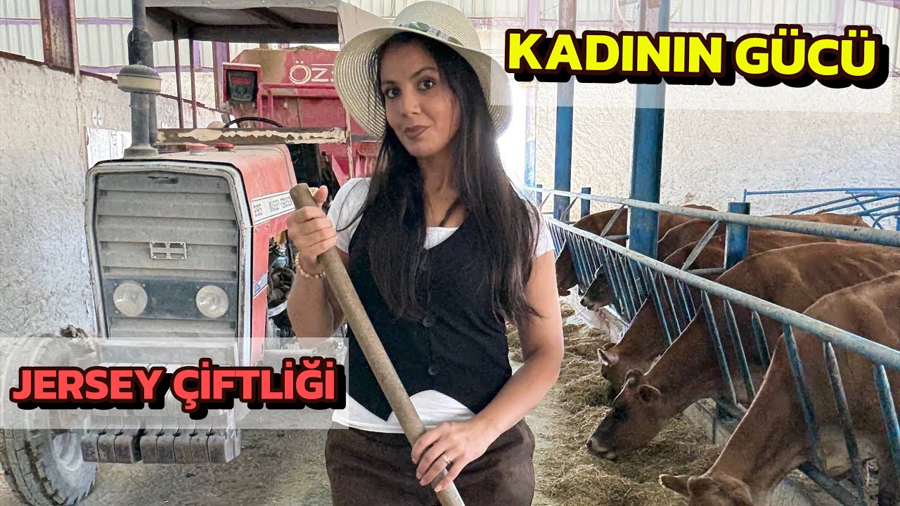 2 KADININ JERSEY İNEKLERİYLE BAŞARI HİKAYESİ ! KADIN İSTERSE DÜNYA DEĞİŞİR !