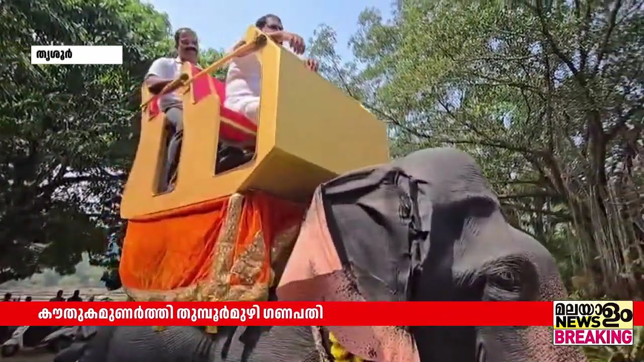 മസ്തകം കുലുക്കി, ചെവിയാട്ടി, ഗമയില്‍ തുമ്പിക്കൈ ഉയര്‍ത്തി വരുന്നത് കണ്ടാല്‍ ആരും ഒന്ന് പകച്ചുപോകും