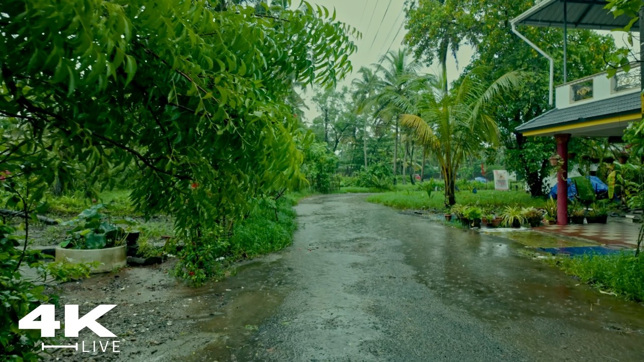 Peaceful Village Rain Walk 🌧️ | Countryside ASMR for Sleep & Relaxation ( Compilation )